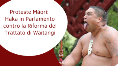 Proteste Maori