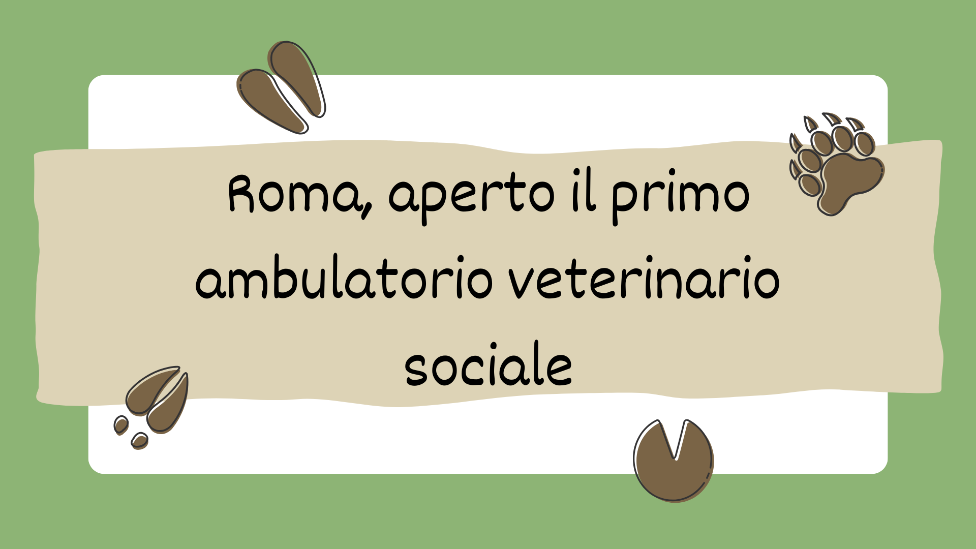 Ambulatorio veterinario sociale